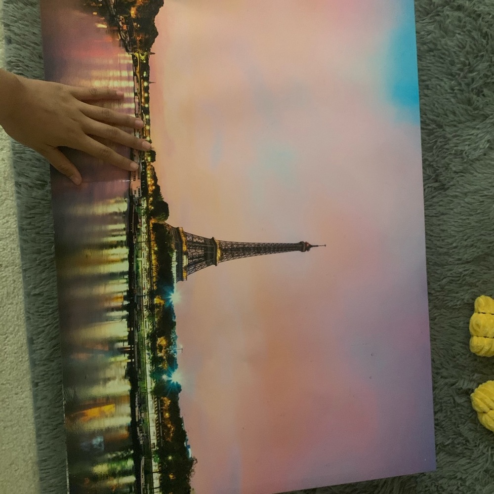 Paris canvas